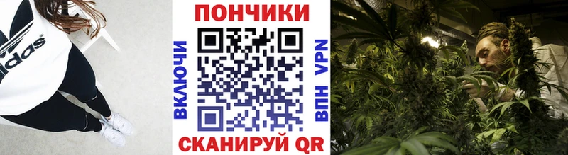 Купить наркоту Александровск COCAIN  МЕТАМФЕТАМИН  Гашиш  Каннабис  Меф мяу мяу 