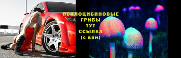 дмт Нязепетровск