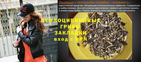 меф Няндома