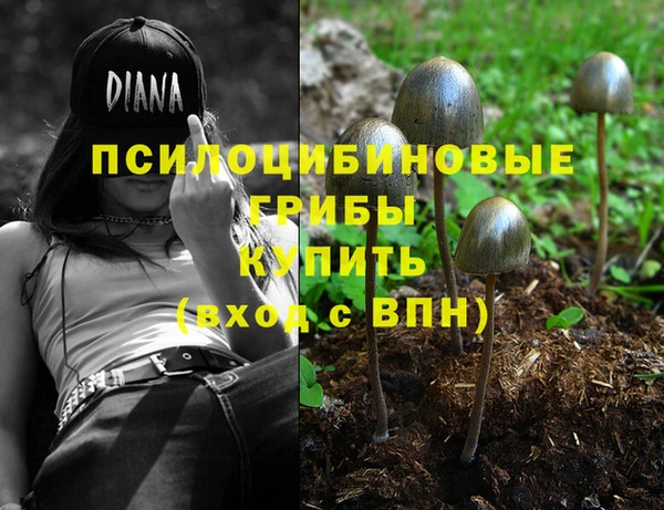 мдпв Бикин