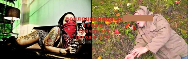 гидропоника Нягань