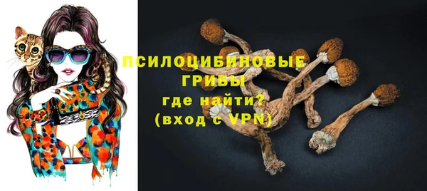 гидропоника Нягань