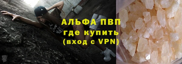 гашик Билибино