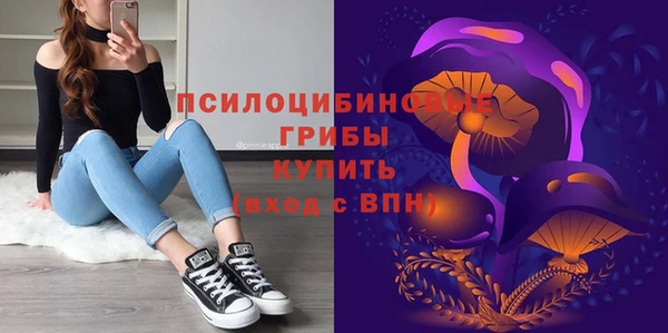 гидропоника Нягань