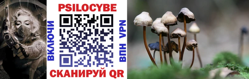 Галлюциногенные грибы Cubensis  гидра рабочий сайт  Александровск 